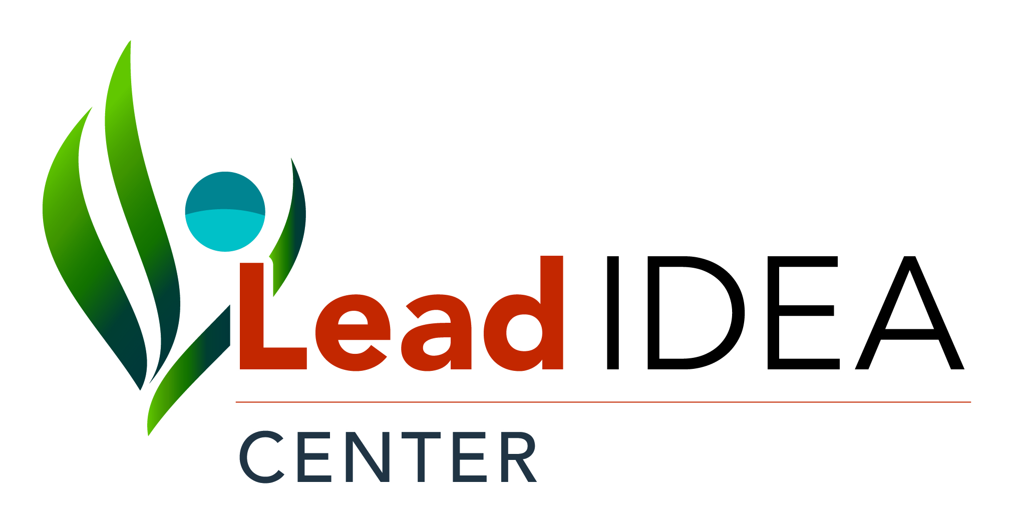 Lead IDEA